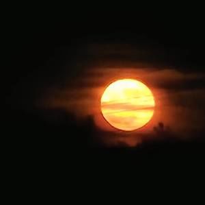 Meet your Posher, Patsy